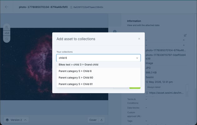 SaferAssetManagement